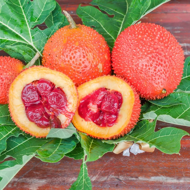 Vining Momordica cochinchinensis Fruit Seeds for Planting, Cultivating Unique and Nutritious Fruits in Your Garden