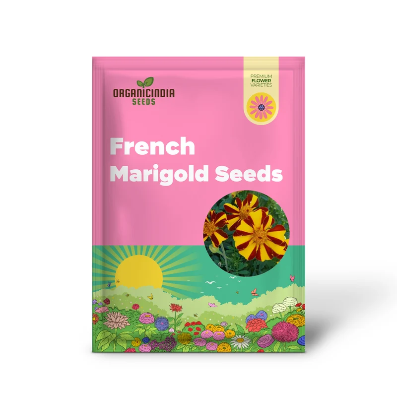 French Marigold Seeds Court Jester Variety Organic Gardening Seeds