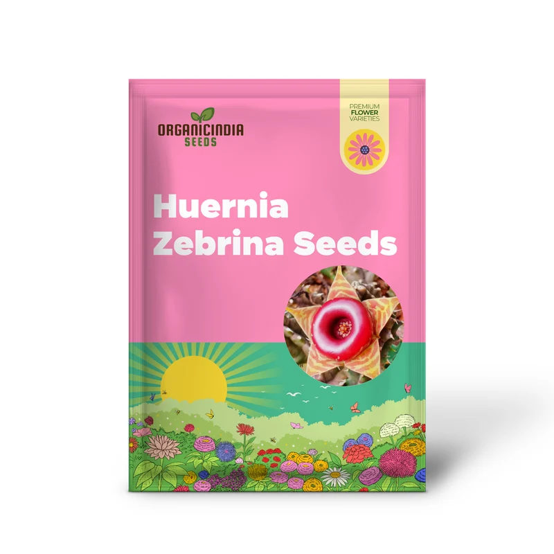 Huernia Zebrina Lifesaver Cactus Seeds for Gardening Enthusiasts - Exotic Succulent Seeds