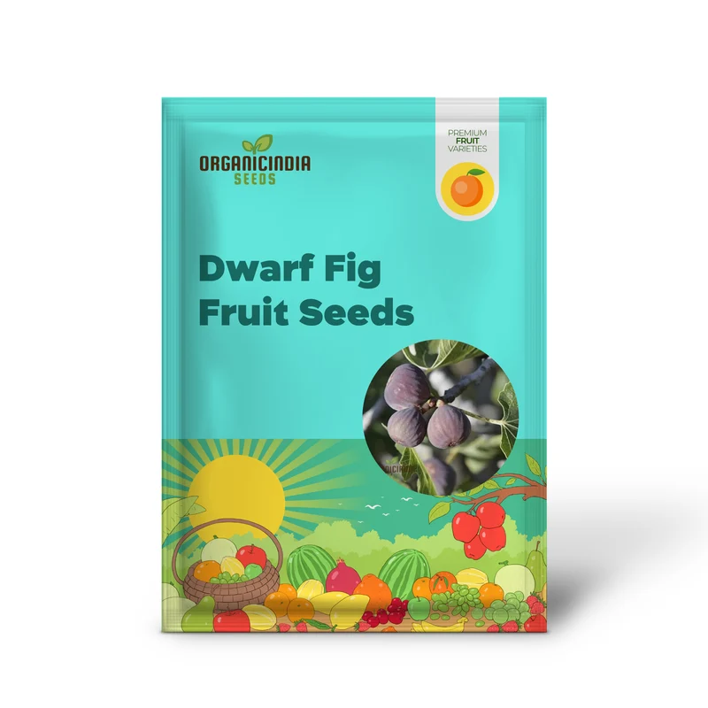Dwarf Fig Fruit Seeds - Exotic Gardening Variety for Small Spaces | Planting Instructions Included