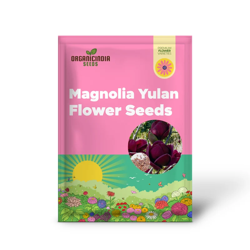 Magnolia Yulan Tulip Tree Flower Seeds for Planting - 100 pcs
