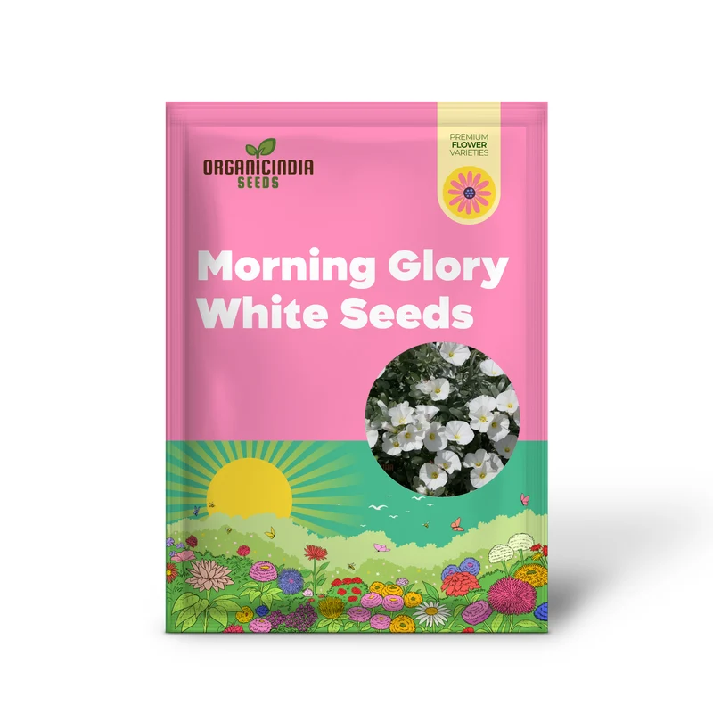 Morning Glory White Seeds for Your Garden - Buy Online Now