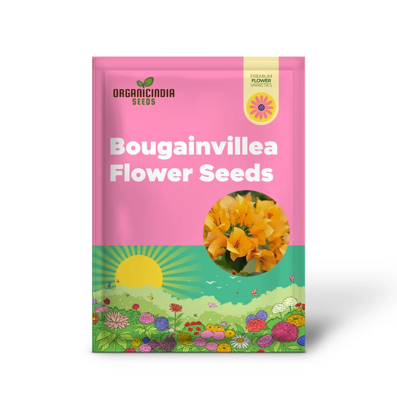 Bougainvillea Spectabilis Flower Seeds for Planting