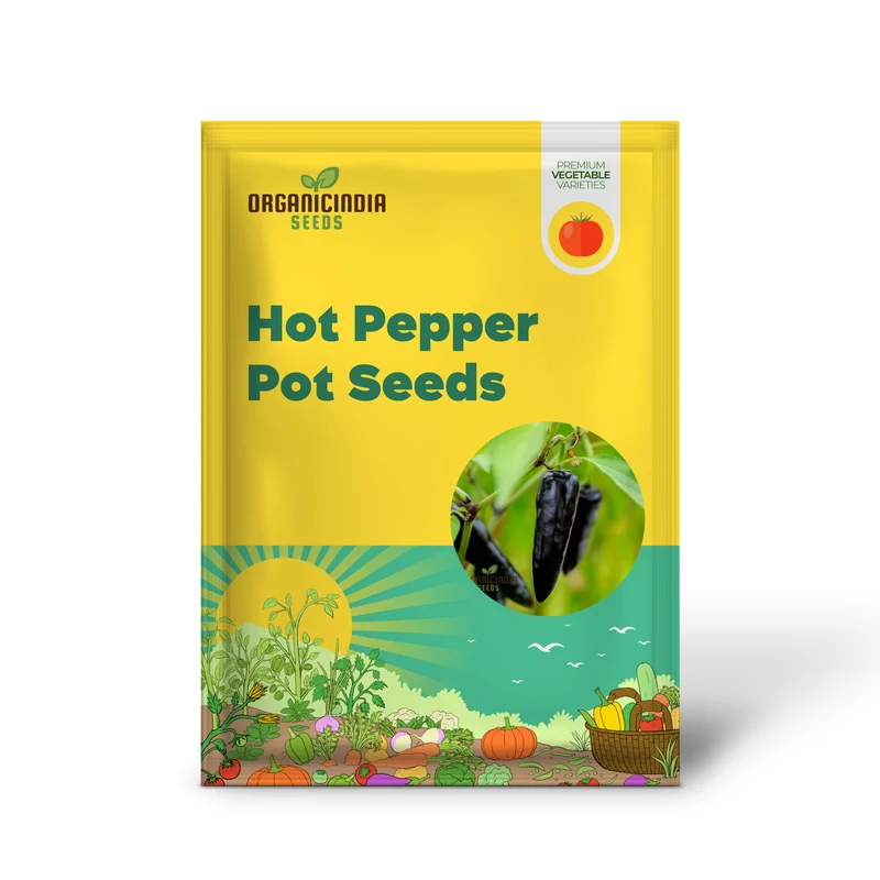 Hot Pepper - Pot Black Seeds for Planting Elevate Your Gardening with Bold, Fiery Harvests