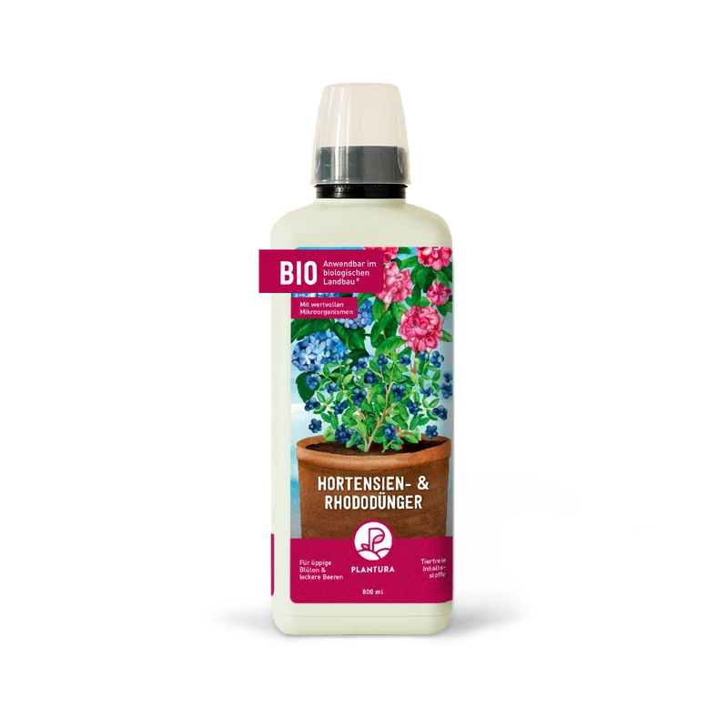 Bio-Hortensien- & Rhododendrondünger 800 ml