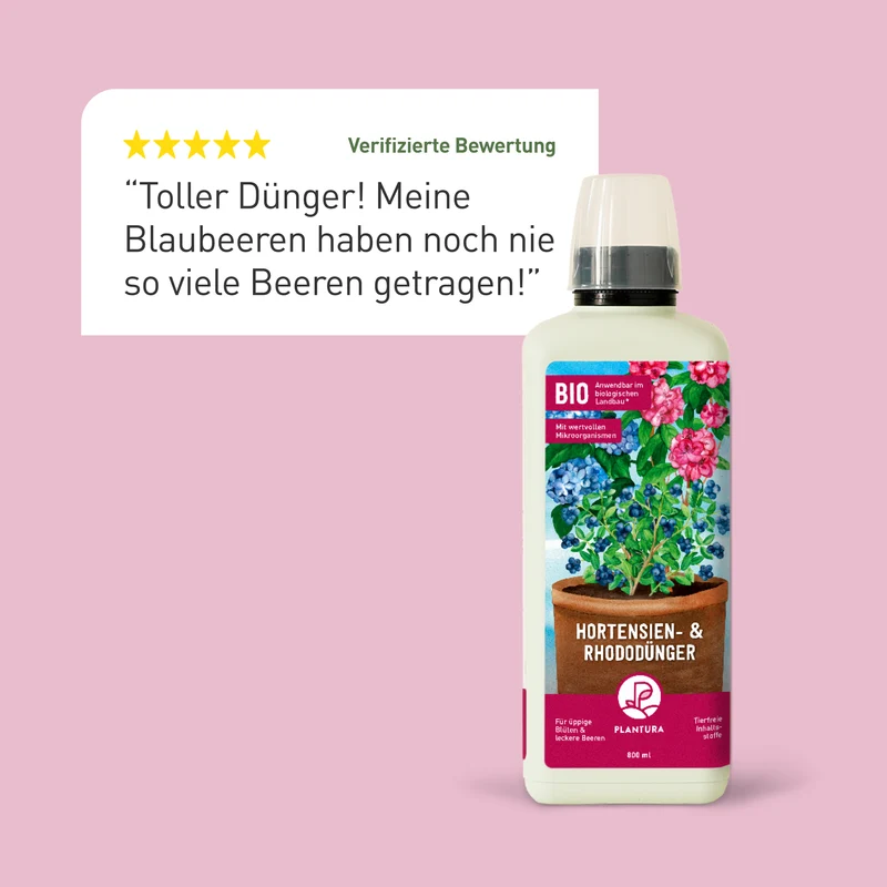 Bio-Hortensien- & Rhododendrondünger 800 ml