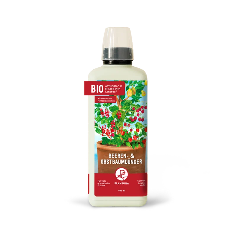 Bio-Beeren- & Obstbaumdünger 800 ml