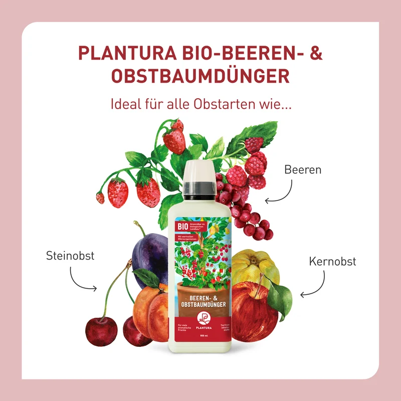 Bio-Beeren- & Obstbaumdünger 800 ml