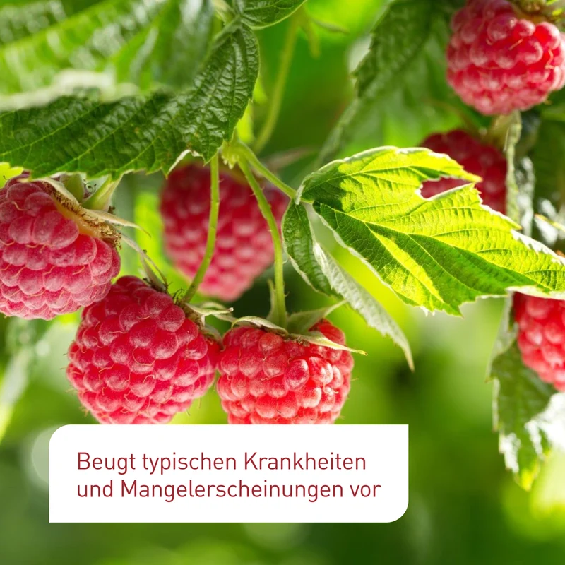 Bio-Beeren- & Obstbaumdünger 800 ml