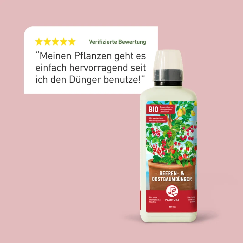 Bio-Beeren- & Obstbaumdünger 800 ml