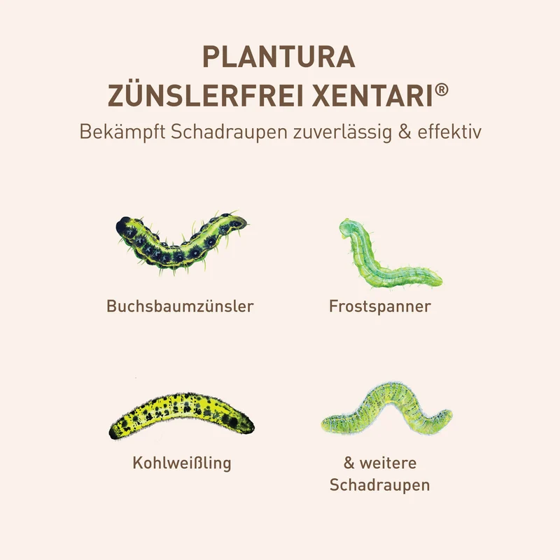 XenTari® Raupenfrei Zünslerfrei - Mittel gegen Buchsbaumzünsler