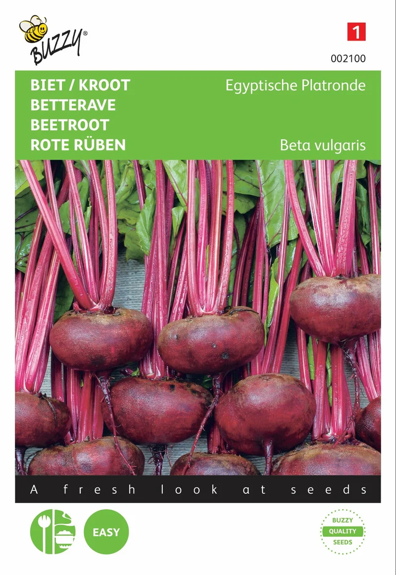 Rote Bete / Kroot Ägyptische Flachbrötchen