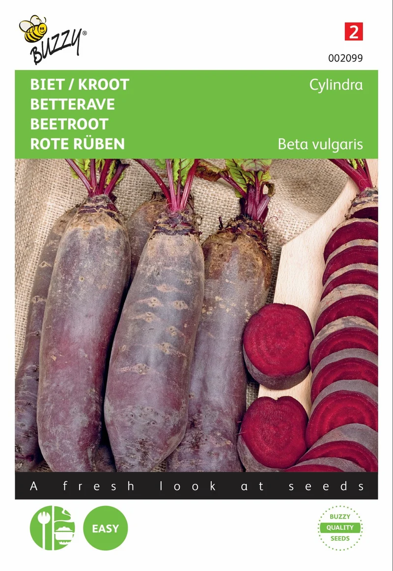 Rote Bete / Kroot Cylindra