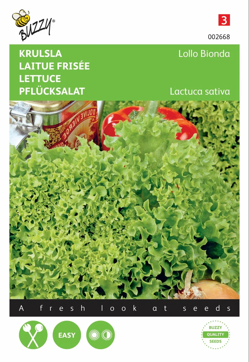 Krauser Salat Lollo Bionda