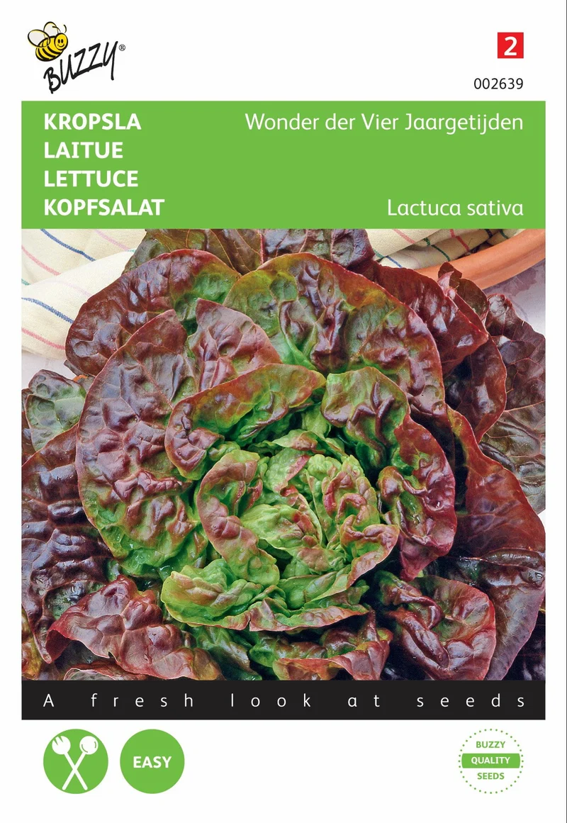 Salat – ein Wunder der vier Jahreszeiten