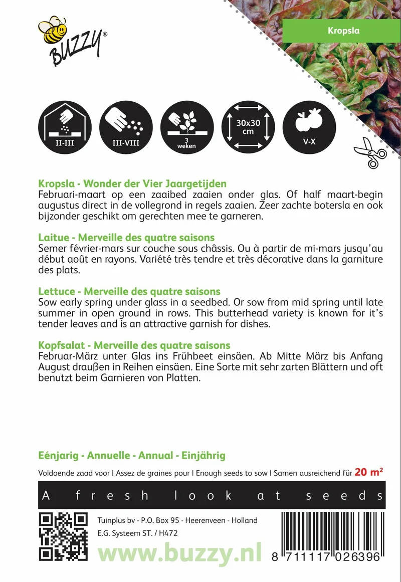 Salat – ein Wunder der vier Jahreszeiten