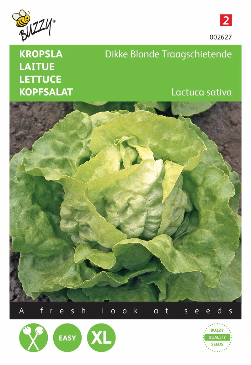 Salat Dick Blond Langsam schießend