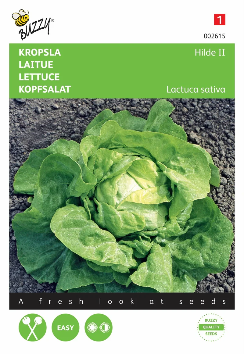Hilde II Salat