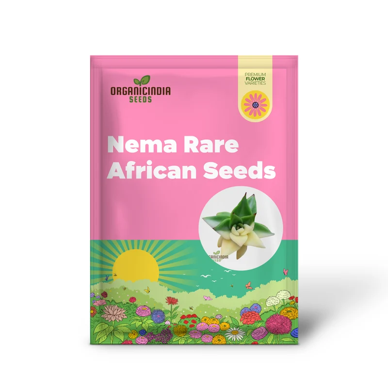 Nema Rare African Cactus Succulent Seeds - Green and White - 100Pcs | Premium Gardening Seeds for Unique Succulent Plants