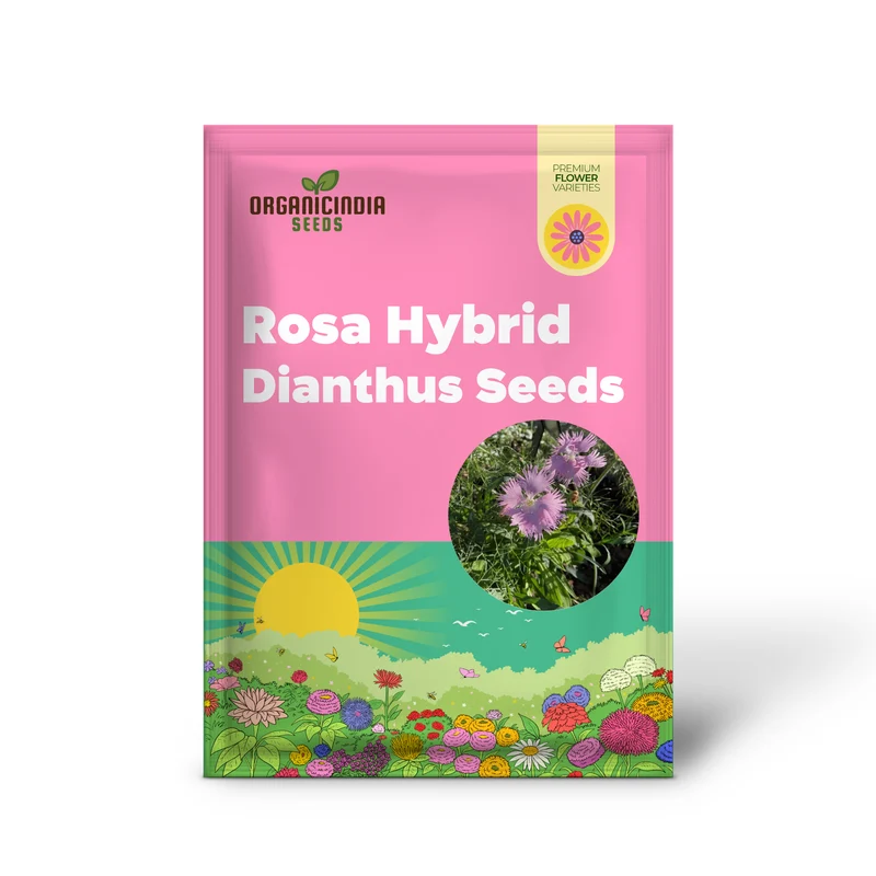 Supra Rosa Hybrid Dianthus Seeds, Planting
