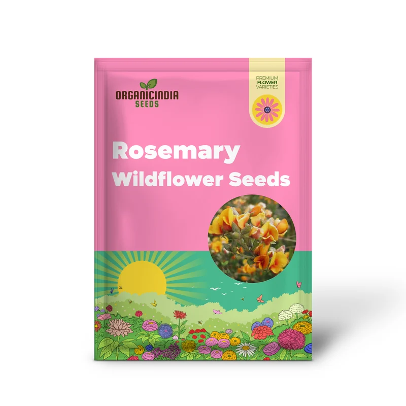 Golden Rosemary Wildflower Seeds for Gardening Enthusiasts | Premium Quality Seeds for Beautiful Gardens