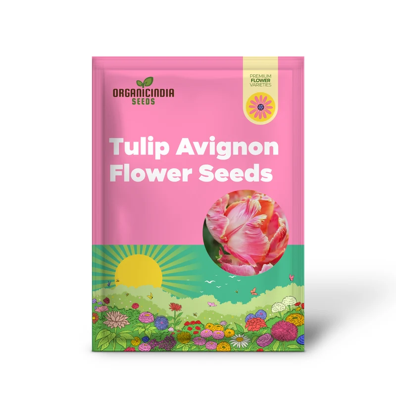 Tulip Avignon Parrot Flower Seeds For Planting, Vibrant and Exotic Parrot Tulips for a Stunning Spring Garden Display