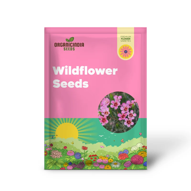 Compacted Featherflower Wildflower Seeds for Gardening Enthusiasts - Premium Quality and Easy Planting Instructions