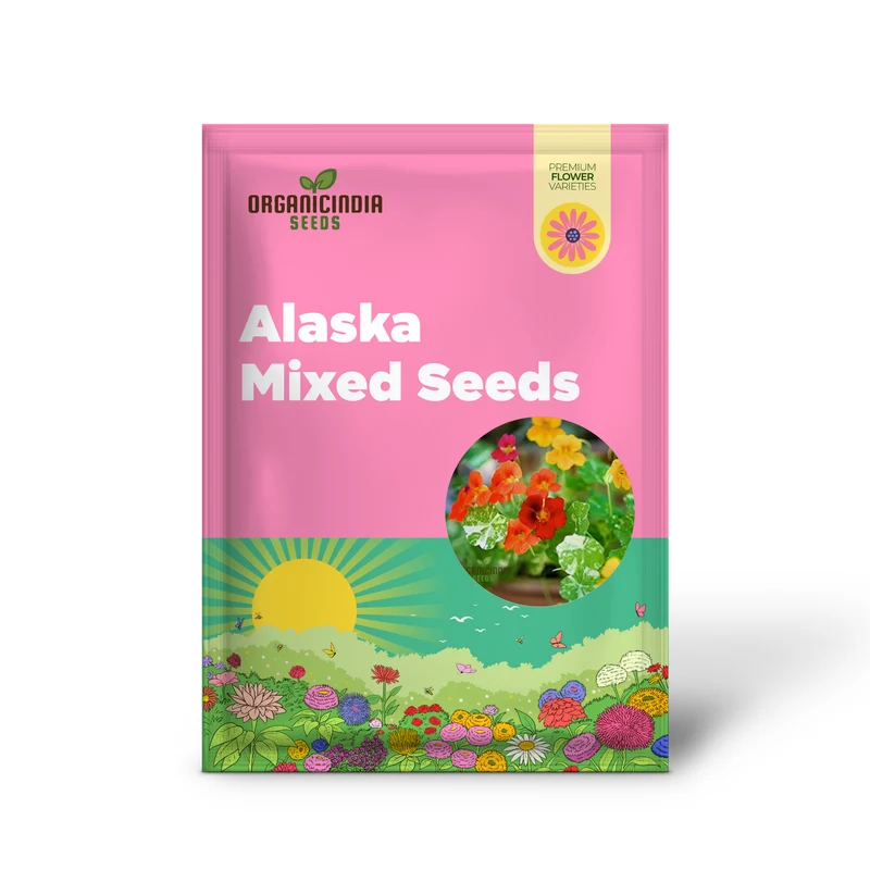 Nasturtium 'Alaska' Mixed Seeds for Garden Planting - Easy to Grow Edible Flowers with Variegated Leaves