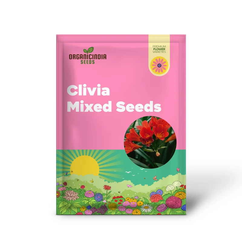 Clivia Mixed Seeds for Planting