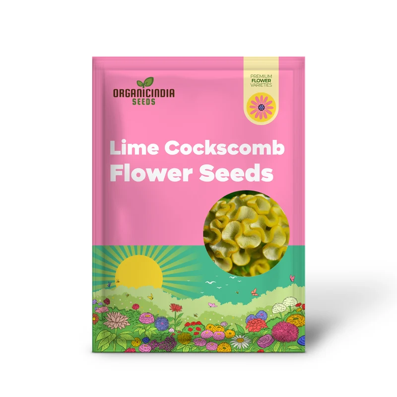 Yellow Lime Cockscomb Flower Seeds for Planting, Comprehensive Guide to Growing Vibrant Blooms
