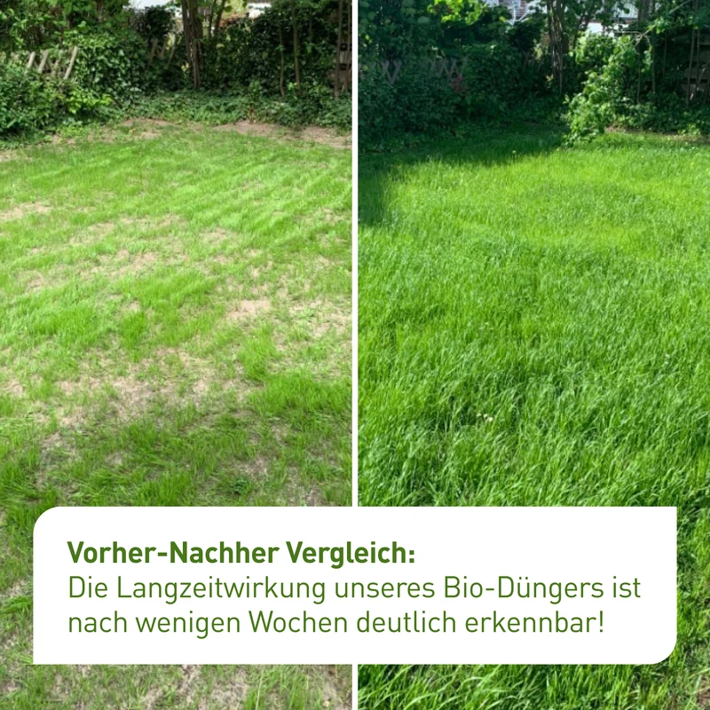 Bio-Rasendünger 10,5 kg (Papierverpackung)