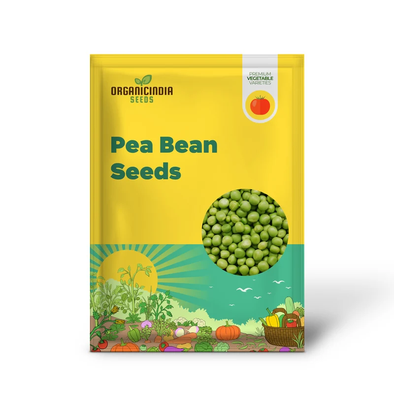 Pea Bean Vegetable Seeds for Planting, High-Quality Seeds for Grow Healthy, Productive Pea Beans in Your Garden Perfect Seeds for Home Garden