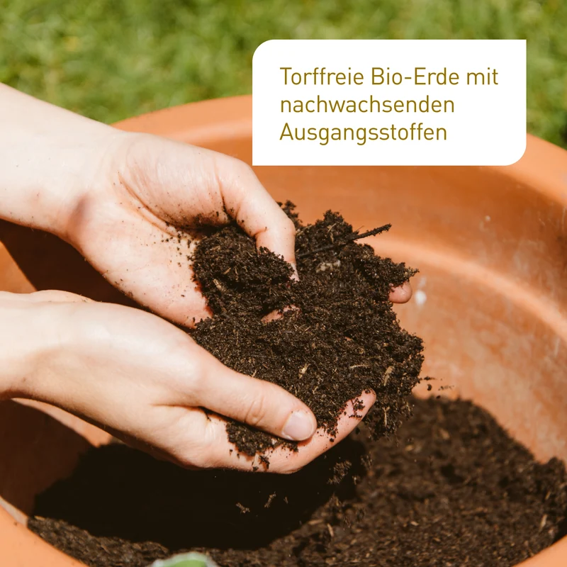 Bio-Blumenerde Torffrei