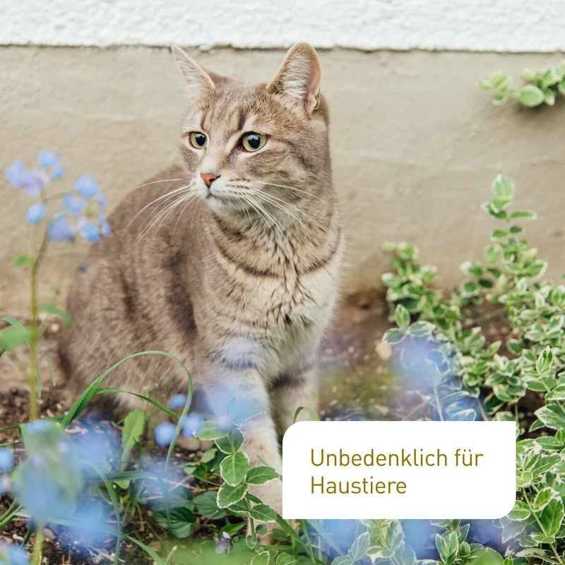 Bio-Blumenerde Torffrei