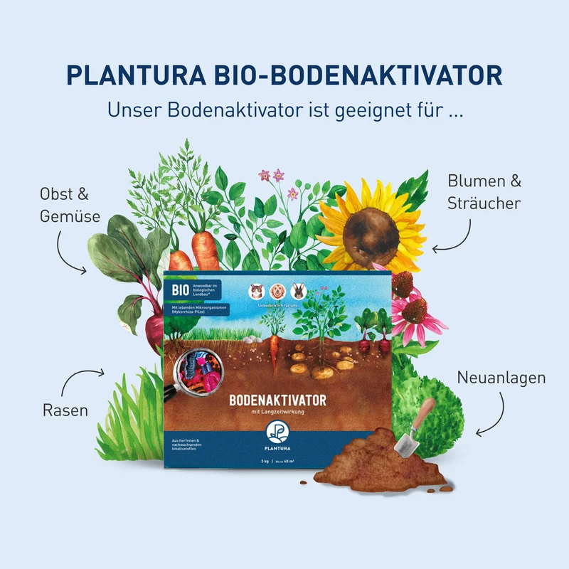 Bio-Bodenaktivator 3 kg (Box)