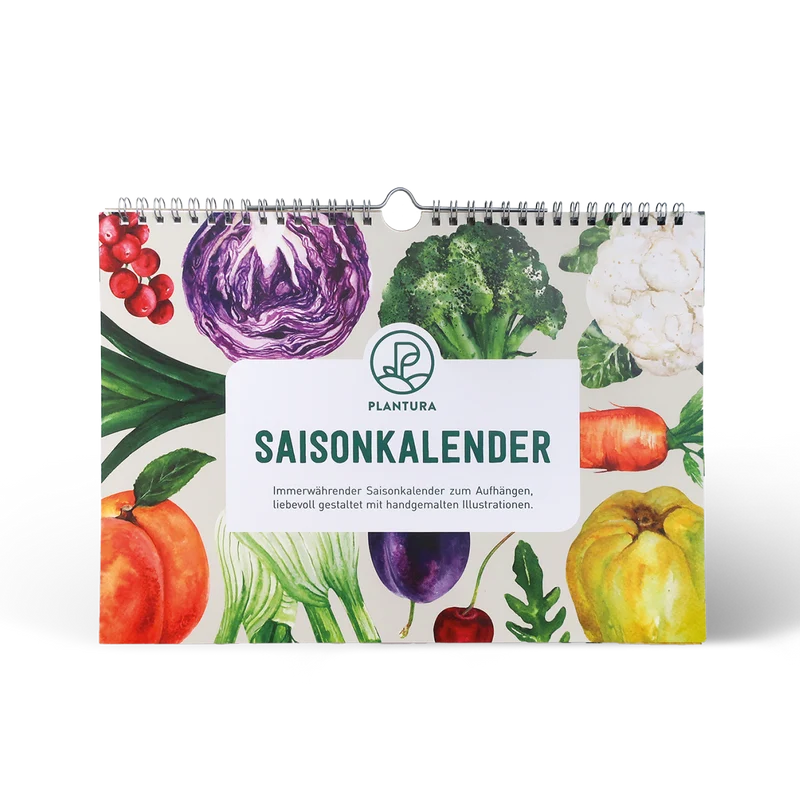 Saisonkalender für Obst & Gemüse