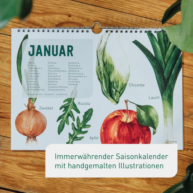 Saisonkalender für Obst & Gemüse