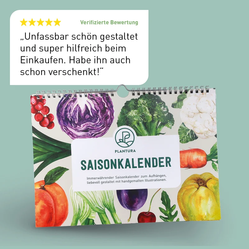 Saisonkalender für Obst & Gemüse