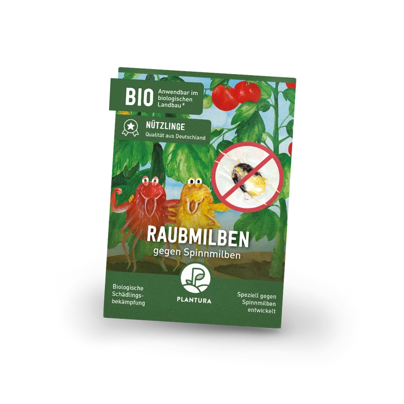 Raubmilben gegen Spinnmilben