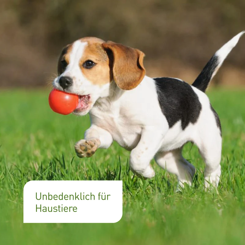 Rasensand 15 kg