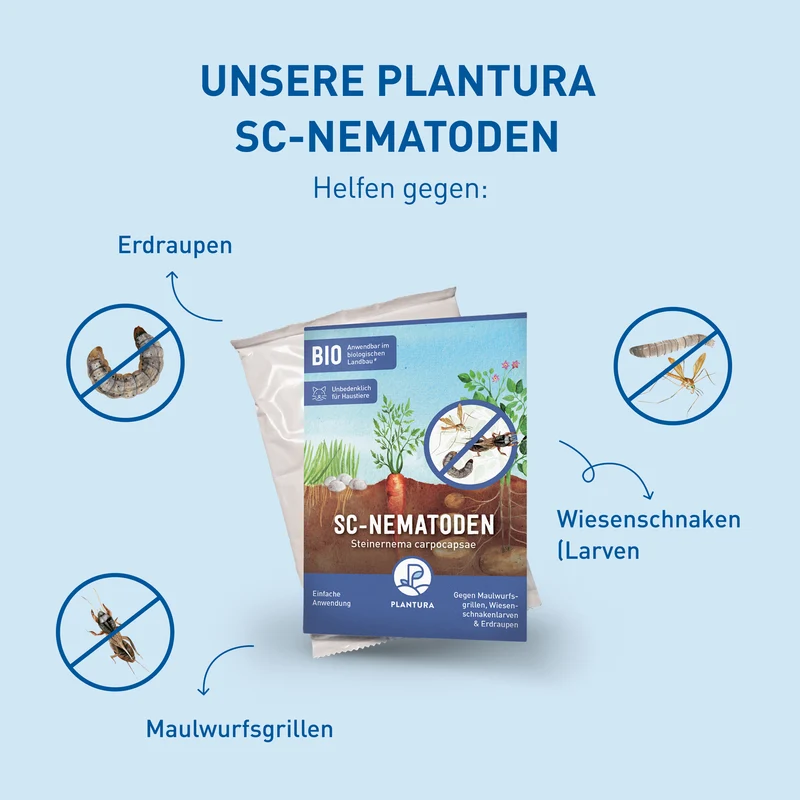 SC-Nematoden gegen Maulwurfsgrillen, Wiesenschnaken & Erdraupen