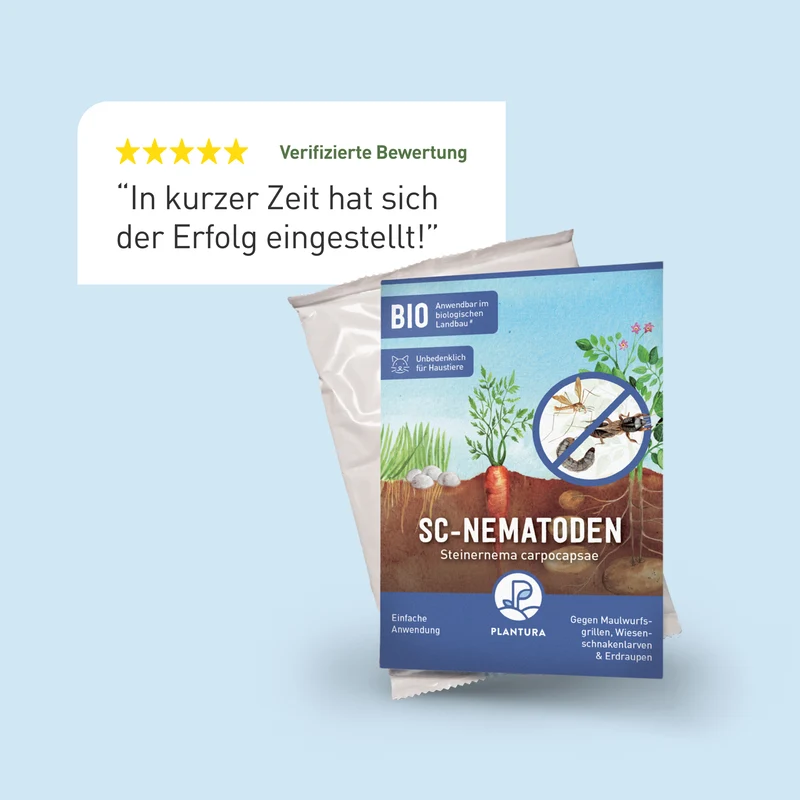 SC-Nematoden gegen Maulwurfsgrillen, Wiesenschnaken & Erdraupen