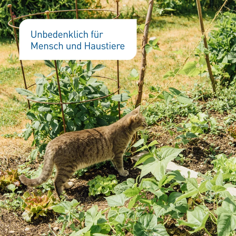SC-Nematoden gegen Maulwurfsgrillen, Wiesenschnaken & Erdraupen