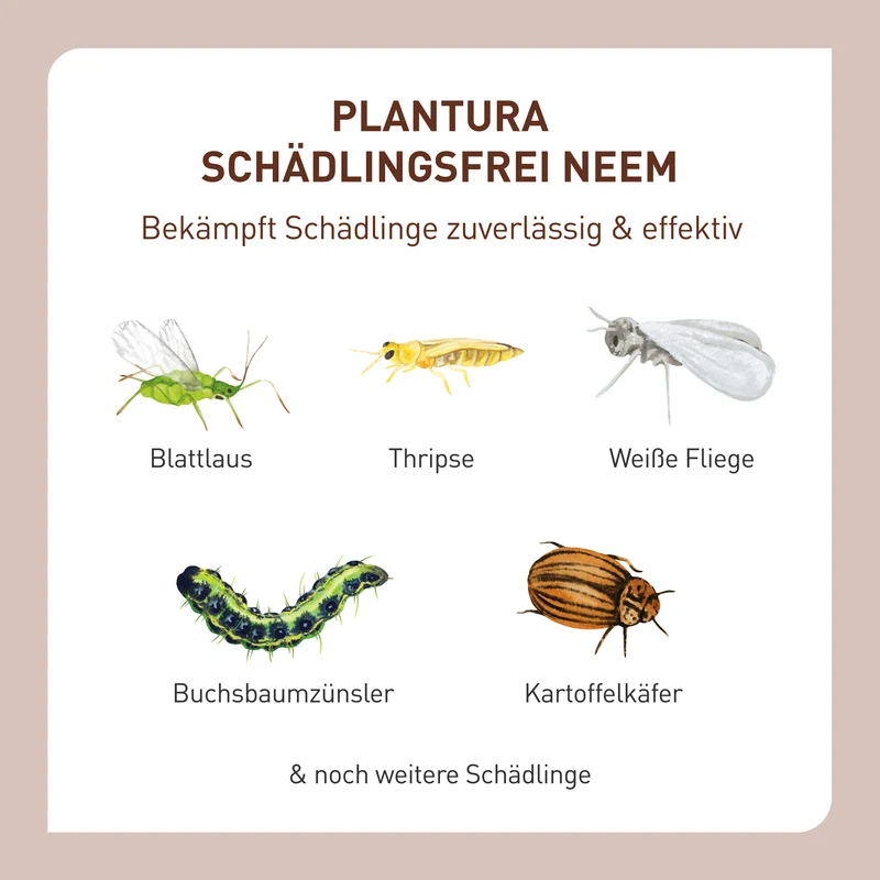 Schädlingsfrei Neem gegen Blattläuse, Kartoffelkäfer & Co.