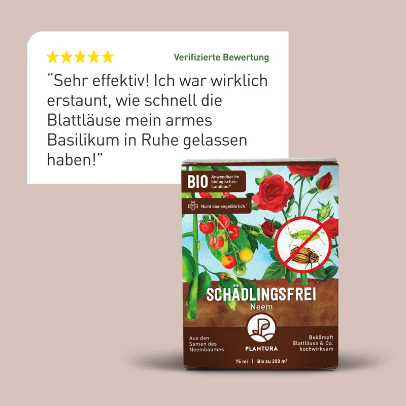 Schädlingsfrei Neem gegen Blattläuse, Kartoffelkäfer & Co.