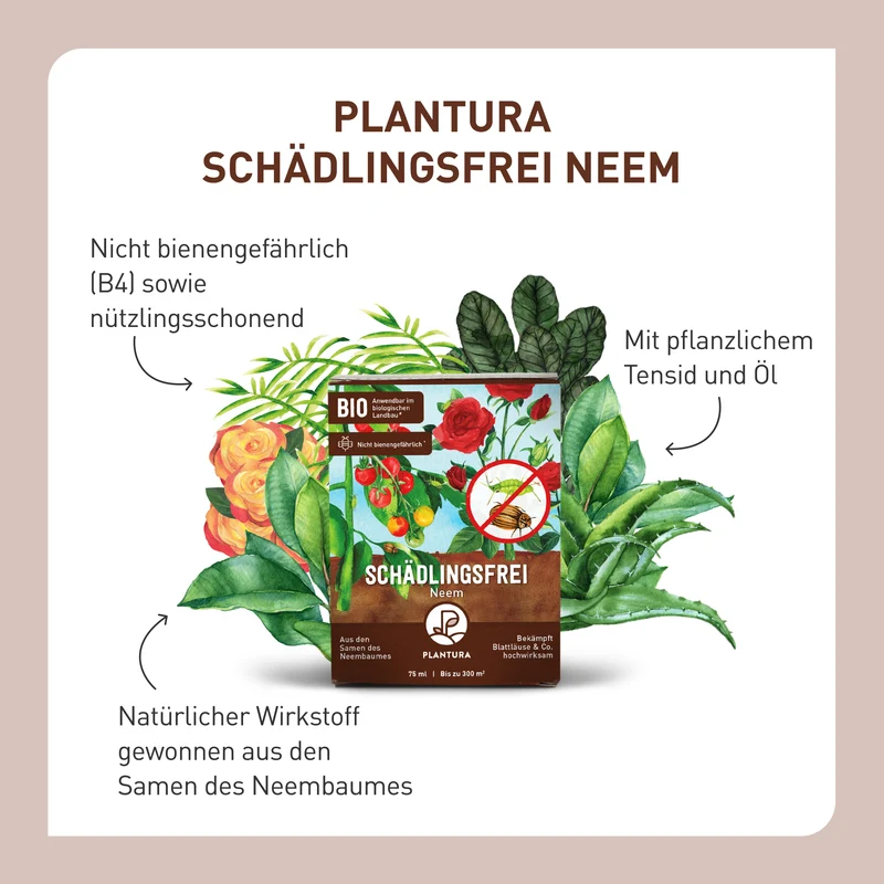 Schädlingsfrei Neem gegen Blattläuse, Kartoffelkäfer & Co.
