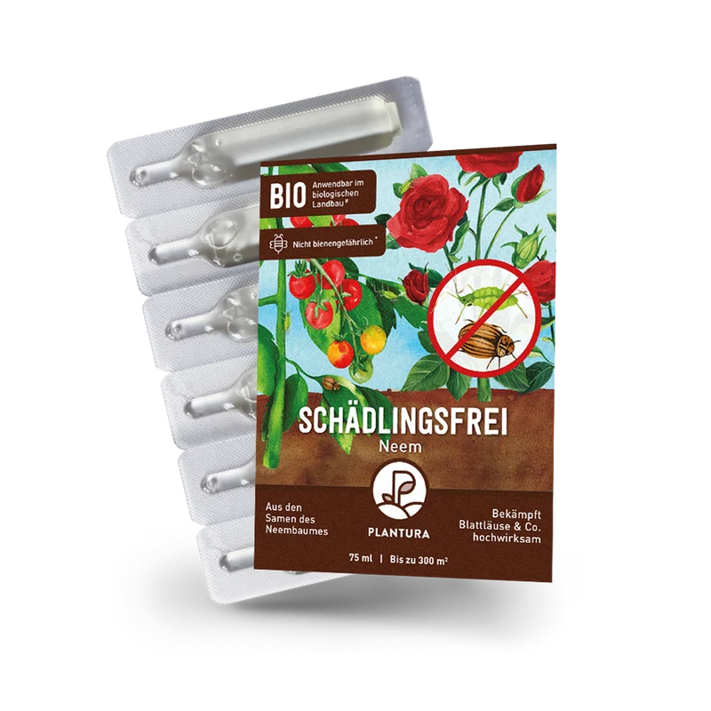 Schädlingsfrei Neem gegen Blattläuse, Kartoffelkäfer & Co.