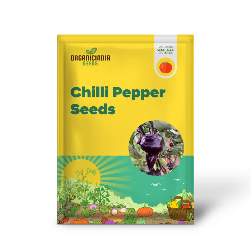 Chilli Pepper - Purple UFO Seeds for Gardening Enthusiasts | Unique Varietal for Spicy Delights