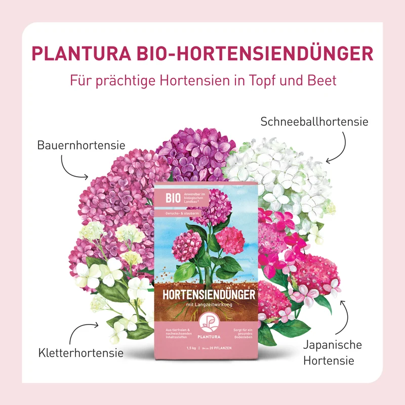 Bio-Hortensiendünger 1,5 kg