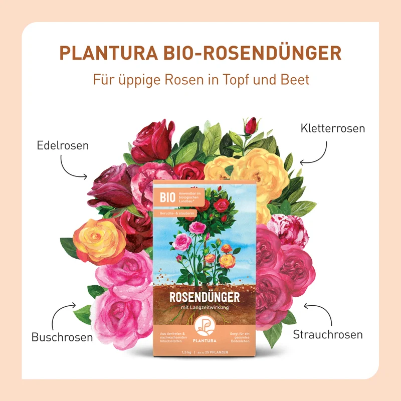 Bio-Rosendünger 1,5 kg